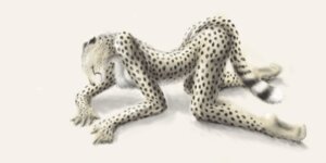Rating: Safe Score: 0 Tags: 2:1 aho all_fours anthro arched_back ass_up biped black_body black_fur black_nose black_spots cheetah crawling digital_media_(artwork) e621 eyes_closed feet felid feline female fur humanoid_hands mammal markings multicolored_body multicolored_fur nude oekaki paws pose simple_background solo spots spotted_body spotted_fur tail white_background white_body white_fur yellow_body yellow_fur User: bunchy7s Rating: Safe Score: 0 Tags: 2:1 aho all_fours anthro arched_back ass_up biped black_body black_fur black_nose black_spots cheetah crawling digital_media_(artwork) e621 eyes_closed feet felid feline female fur humanoid_hands mammal markings multicolored_body multicolored_fur nude oekaki paws pose simple_background solo spots spotted_body spotted_fur tail white_background white_body white_fur yellow_body yellow_fur User: bunchy7s