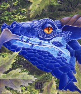 Rating: Safe Score: 0 Tags: ambiguous_gender beak blue_body blue_scales detailed_background dragon e621 feral forest leaf melissa-a-benson mythological_creature mythological_scalie mythology nature outside plant scales scalie solo teeth tree User: bunchy7s