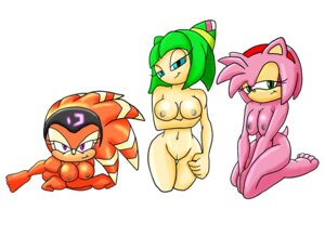 Rating: Explicit Score: 0 Tags: 2010 accessory amy_rose anthro archived_source areola biped breasts cosmo_the_seedrian e621 echidna elemental_creature eulipotyphlan female flora_fauna genitals group hair_accessory hairband hedgehog humanoid looking_at_viewer mammal monotreme nipples nude pink_body plant seedrian sega shade_the_echidna simple_background sonic_chronicles:_the_dark_brotherhood sonic_the_hedgehog_(series) sonic_x thegeckoninja vulva white_background User: bunchy7s