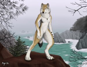 Rating: Safe Score: 0 Tags: anthro canid canine canis e621 male mammal myenia mythological_canine mythological_creature mythology outside sea sky solo tail water werecanid werecanine werecreature werewolf wolf User: bunchy7s