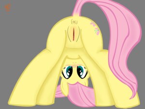 Rating: Explicit Score: 0 Tags: 1girls 2012 2d equine female feral feral_only fluttershy_(mlp) friendship_is_magic horse my_little_pony pony pussy rule34 smooth_skin solo tagme vagina vulva User: bunchy7s