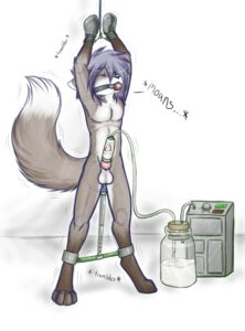 Rating: Explicit Score: 0 Tags: 1boy anal anal_dildo anal_insertion anal_masturbation anthro ball_gag balls bondage canine cum dildo erection fox foxxian fur furry insertion lyle machine male male_only milking penis penis_milking penis_suction rule34 sex_toy solo spreader_bar trembling User: bunchy7s