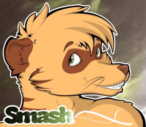 Rating: Safe Score: 0 Tags: 2011 abstract_background e621 english_text fur green_eyes herpestid looking_at_viewer male mammal meerkat nekyia orange_body orange_fur simple_background smashmeerkat smile solo text User: bunchy7s