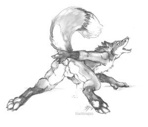 Rating: Explicit Score: 0 Tags: all_fours anal anal_masturbation anal_penetration animal_genitalia animal_penis anthro backsack balls blackteagan bodily_fluids canid canine canine_genitalia canine_penis cum dildo e621 erection fox genital_fluids genitals greyscale knot male mammal masturbation monochrome nude penetration penis precum raised_tail sex_toy sketch solo tail toying_self User: bunchy7s Rating: Explicit Score: 0 Tags: all_fours anal anal_masturbation anal_penetration animal_genitalia animal_penis anthro backsack balls blackteagan bodily_fluids canid canine canine_genitalia canine_penis cum dildo e621 erection fox genital_fluids genitals greyscale knot male mammal masturbation monochrome nude penetration penis precum raised_tail sex_toy sketch solo tail toying_self User: bunchy7s