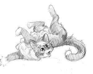 Rating: Explicit Score: 0 Tags: anthro breasts digital_drawing_(artwork) digital_media_(artwork) domestic_cat e621 felid feline felis female mammal monochrome multi_breast multi_nipple nipples nullenigma pose simple_background sketch solo tail white_background User: bunchy7s