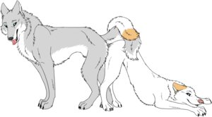 Rating: Explicit Score: 0 Tags: 2010 ass_to_ass ass_up barkwoof blue_eyes canid canine canis domestic_dog duo e621 eska female female_penetrated feral feral_on_feral husky knotting male male/female male_penetrating male_penetrating_female mammal nordic_sled_dog penetration pink_nose raised_tail sex simple_background spitz tail tongue white_background wolf User: bunchy7s