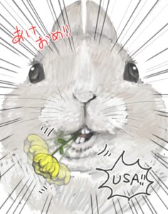 Rating: Safe Score: 0 Tags: alice810 ambiguous_gender buckteeth digital_media_(artwork) e621 eating feral flower headshot_portrait japanese_text lagomorph leporid mammal nude plant portrait rabbit simple_background solo teeth text translated white_background User: bunchy7s Rating: Safe Score: 0 Tags: alice810 ambiguous_gender buckteeth digital_media_(artwork) e621 eating feral flower headshot_portrait japanese_text lagomorph leporid mammal nude plant portrait rabbit simple_background solo teeth text translated white_background User: bunchy7s
