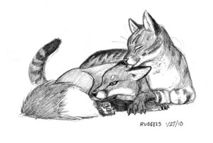 Rating: Safe Score: 0 Tags: 2010 ambiguous_gender canid canine domestic_cat duo e621 felid feline felis feral fox graphite_(artwork) greyscale mackerel_tabby mammal monochrome romantic romantic_couple scott_ruggels simple_background tabby_cat tail traditional_media_(artwork) User: bunchy7s Rating: Safe Score: 0 Tags: 2010 ambiguous_gender canid canine domestic_cat duo e621 felid feline felis feral fox graphite_(artwork) greyscale mackerel_tabby mammal monochrome romantic romantic_couple scott_ruggels simple_background tabby_cat tail traditional_media_(artwork) User: bunchy7s