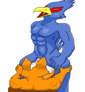 Rating: Explicit Score: 0 Tags: anthro avian bird canine falco_lombardi fox fox_mccloud furry male male_only rule34 star_fox tagme User: bunchy7s Rating: Explicit Score: 0 Tags: anthro avian bird canine falco_lombardi fox fox_mccloud furry male male_only rule34 star_fox tagme User: bunchy7s