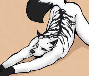Rating: Questionable Score: 0 Tags: anthro ass_up bedroom_eyes black_body black_fur black_nose black_stripes blue_eyes canid canine decaf e621 fluffy fluffy_tail fox fur gloves_(marking) half-closed_eyes male mammal markings multicolored_body multicolored_fur narrowed_eyes nude open_mouth seductive simple_background smile solo striped_body striped_fur stripes tail two_tone_body two_tone_fur white_body white_fur User: bunchy7s