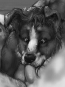 Rating: Explicit Score: 0 Tags: anakuro anthro border_collie canid canine canis close-up collie cropped digital_media_(artwork) domestic_dog duo e621 erection fellatio genitals greyscale herding_dog licking low_res male male/male male_penetrated male_penetrating male_penetrating_male mammal monochrome oral oral_penetration pastoral_dog penetration penile penis preview sex sheepdog tongue tongue_out unfinished User: bunchy7s Rating: Explicit Score: 0 Tags: anakuro anthro border_collie canid canine canis close-up collie cropped digital_media_(artwork) domestic_dog duo e621 erection fellatio genitals greyscale herding_dog licking low_res male male/male male_penetrated male_penetrating male_penetrating_male mammal monochrome oral oral_penetration pastoral_dog penetration penile penis preview sex sheepdog tongue tongue_out unfinished User: bunchy7s