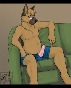 Rating: Explicit Score: 0 Tags: 1boy 2010 boxers canine german_shepherd glasses male male_only penis rule34 sciggles sofa solo underwear User: bunchy7s