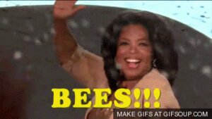 Rating: Safe Score: 0 Tags: 16:9 animated animated_gif arthropod audience bee bodily_fluids car celebration crowd crying dancing e621 excited female grandfathered_content group human humor hymenopteran insect jubilation laugh loop low_res male mammal not_furry oprah_winfrey parody real short_playtime stage studio tears text unknown_artist vehicle watermark what widescreen User: bunchy7s Rating: Safe Score: 0 Tags: 16:9 animated animated_gif arthropod audience bee bodily_fluids car celebration crowd crying dancing e621 excited female grandfathered_content group human humor hymenopteran insect jubilation laugh loop low_res male mammal not_furry oprah_winfrey parody real short_playtime stage studio tears text unknown_artist vehicle watermark what widescreen User: bunchy7s