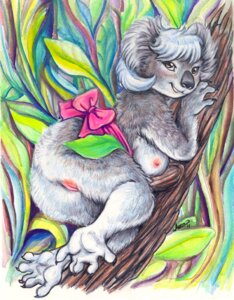 Rating: Explicit Score: 0 Tags: 2011 anthro auradeva biped blush breasts butt e621 female genitals koala looking_at_viewer lying mammal marsupial nipples nude on_side overweight overweight_anthro overweight_female plant ribbons slightly_chubby solo tree vombatiform vulva wood User: bunchy7s Rating: Explicit Score: 0 Tags: 2011 anthro auradeva biped blush breasts butt e621 female genitals koala looking_at_viewer lying mammal marsupial nipples nude on_side overweight overweight_anthro overweight_female plant ribbons slightly_chubby solo tree vombatiform vulva wood User: bunchy7s