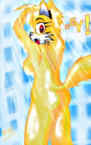 Rating: Questionable Score: 0 Tags: 5:8 anthro blackcat breasts canid canine e621 female fox hair hi_res mammal miles_prower nude sega solo sonic_the_hedgehog_(series) User: bunchy7s Rating: Questionable Score: 0 Tags: 5:8 anthro blackcat breasts canid canine e621 female fox hair hi_res mammal miles_prower nude sega solo sonic_the_hedgehog_(series) User: bunchy7s