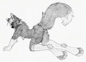 Rating: Explicit Score: 0 Tags: andromorph anthro butt canid canine clothing e621 footwear genitals greyscale intersex kato legwear mammal monochrome nude presenting presenting_hindquarters raised_tail ruaidri sketch socks solo stirrup_socks stockings tail vulva User: bunchy7s