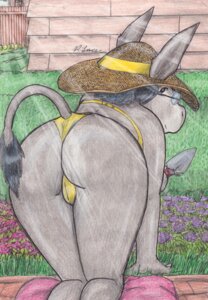 Rating: Questionable Score: 0 Tags: all_fours anthro asinus bent_over bikini black_hair butt clothed clothing donkey e621 equid equine female flower fur gardening grey_body grey_fur hair hat headgear headwear mammal mature_anthro mature_female paul_lucas plant rear_view skimpy solo sun_hat swimwear tail tail_tuft thong tight_clothing traditional_media_(artwork) tuft two-piece_swimsuit underwear User: bunchy7s Rating: Questionable Score: 0 Tags: all_fours anthro asinus bent_over bikini black_hair butt clothed clothing donkey e621 equid equine female flower fur gardening grey_body grey_fur hair hat headgear headwear mammal mature_anthro mature_female paul_lucas plant rear_view skimpy solo sun_hat swimwear tail tail_tuft thong tight_clothing traditional_media_(artwork) tuft two-piece_swimsuit underwear User: bunchy7s