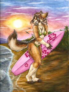 Rating: Questionable Score: 0 Tags: 2008 ambient_bird anthro beach bikini breasts brown_body brown_fur brown_hair canid canine canis chest_tuft claws cleavage clothed clothing detailed_background e621 female fur green_eyes hair jackal mammal outside seaside side-tie_bikini silentravyn skimpy sky solo string_bikini sun sunset surfboard surfer swimwear tail tight_clothing traditional_media_(artwork) tuft two-piece_swimsuit vehicle watercraft User: bunchy7s