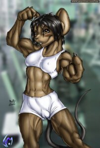 Rating: Questionable Score: 0 Tags: 2004 abs anthro beckoning biceps biped black_nose blush bottomwear breasts brown_body brown_eyes brown_fur brown_hair buckteeth camel_toe claws clothed clothing digital_media_(artwork) e621 female front_view fur gesture hair looking_at_viewer madpolar mammal midriff muscular muscular_anthro muscular_female navel nipple_outline rodent short_hair solo standing tail teeth tight_bottomwear tight_clothing tight_topwear topwear white_bottomwear white_clothing white_topwear User: bunchy7s Rating: Questionable Score: 0 Tags: 2004 abs anthro beckoning biceps biped black_nose blush bottomwear breasts brown_body brown_eyes brown_fur brown_hair buckteeth camel_toe claws clothed clothing digital_media_(artwork) e621 female front_view fur gesture hair looking_at_viewer madpolar mammal midriff muscular muscular_anthro muscular_female navel nipple_outline rodent short_hair solo standing tail teeth tight_bottomwear tight_clothing tight_topwear topwear white_bottomwear white_clothing white_topwear User: bunchy7s