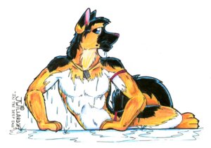 Rating: Questionable Score: 0 Tags: 2001 anthro canid canine canis domestic_dog e621 jessica_willard male mammal pinup pose solo tail traditional_media_(artwork) User: bunchy7s