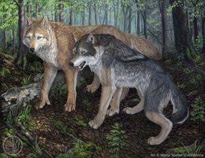 Rating: Safe Score: 0 Tags: atenebris calendar canid canine canis detailed_background duo e621 feral forest male mammal maria_zolotukhina mythological_canine mythological_creature mythology nature outside plant tail tree werecanid werecanine werecreature werewolf wolf wood User: bunchy7s