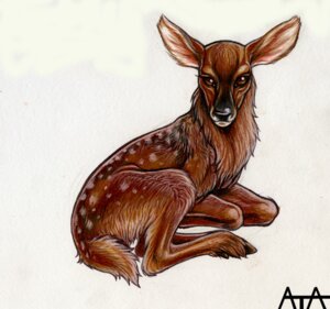 Rating: Safe Score: 0 Tags: 2008 ambiguous_gender brown_body brown_eyes brown_fur deer e621 fawn_spots feral fur hooves looking_at_viewer mammal markings rukis simple_background solo spots spotted_body spotted_fur traditional_media_(artwork) white_background young young_feral User: bunchy7s
