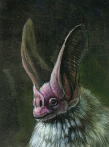 Rating: Safe Score: 0 Tags: ambiguous_gender bat bust_portrait detailed_ear e621 feral hibbary leaf-nosed_bat mammal microbat night photorealism portrait realistic simple_background solo textured_background yangochiropteran User: bunchy7s