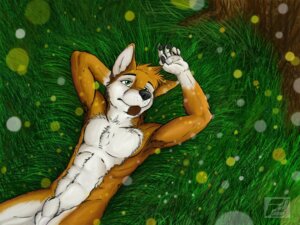 Rating: Explicit Score: 0 Tags: 4:3 animal_genitalia anthro armpit_hair biped bird's-eye_view body_hair canid canine canis domestic_dog e621 fluke fully_sheathed genitals green_eyes high-angle_view lying male mammal muscular muscular_anthro muscular_male nude on_back sheath solo wallpaper User: bunchy7s Rating: Explicit Score: 0 Tags: 4:3 animal_genitalia anthro armpit_hair biped bird's-eye_view body_hair canid canine canis domestic_dog e621 fluke fully_sheathed genitals green_eyes high-angle_view lying male mammal muscular muscular_anthro muscular_male nude on_back sheath solo wallpaper User: bunchy7s