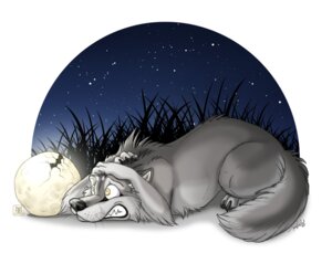 Rating: Safe Score: 0 Tags: 2010 black_nose canid canine canis claws conditional_dnp detailed_background e621 feral full_moon fur glowing grass grey_body grey_fur humor lying male mammal moon night on_front outside plant scared side_view sky solo star starry_sky tail tani_da_real toony whiskers wolf yellow_eyes User: bunchy7s Rating: Safe Score: 0 Tags: 2010 black_nose canid canine canis claws conditional_dnp detailed_background e621 feral full_moon fur glowing grass grey_body grey_fur humor lying male mammal moon night on_front outside plant scared side_view sky solo star starry_sky tail tani_da_real toony whiskers wolf yellow_eyes User: bunchy7s