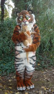 Rating: Safe Score: 0 Tags: ambiguous_gender anthro beastcub claws clothing costume e621 felid fursuit grandfathered_content hi_res mammal outside pantherine real solo stripes tiger User: bunchy7s