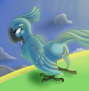 Rating: Explicit Score: 0 Tags: 1girls 2011 2d 2d_artwork areola areolae avian beak big_beak big_eyes bird black_beak blue_breasts blue_feathers blue_sky blue_sky_studios blue_wings boobs breasts cloud clouds digital_art digital_drawing digital_media digital_painting eyelashes feathers female female_only feral feral_only first_porn_of_character furnut green_eyes half-closed_eyes jewel_(rio) looking_back mountain narrowed_eyes nipples pink_areola pink_areolae pink_nipples pussy pussy_juice pussy_juice_drip rio_(film) rio_(series) rule34 signature sky solo solo_female solo_feral tits tongue tongue_out toony vagina vaginal_juices wings User: bunchy7s