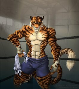 Rating: Safe Score: 0 Tags: anthro biped bottomwear boxing bulge clothed clothing detailed detailed_background e621 felid fighting_ring holding_object holding_towel jeddibub male mammal muscular muscular_anthro muscular_male pantherine realistic shorts solo sport stripes tail tallyhawk_(tallyhawk) tiger topless towel turnbuckle wrestling_singlet User: bunchy7s