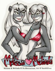 Rating: Questionable Score: 0 Tags: 2_heads 4_arms anthro bikini clothed clothing conjoined duo e621 felid female low_res mammal multi_arm multi_head multi_limb multifur sarahsilver skimpy swimwear two-piece_swimsuit User: bunchy7s