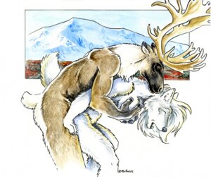 Rating: Explicit Score: 0 Tags: 2009 anthro anthro_on_anthro antlers bent_over breast_grab breasts canid canine canis deer duo e621 eyes_closed female from_behind_position grope hair hand_on_breast heather_bruton horn interspecies male male/female mammal medium_breasts new_world_deer nude open_mouth predator/prey predator_penetrated prey_penetrating prey_penetrating_predator reindeer sex white_hair wolf User: bunchy7s