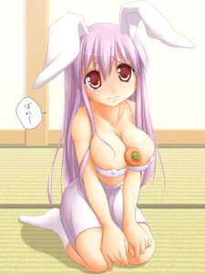 Rating: Questionable Score: 0 Tags: 1girls animal_ear areola areolae between_breasts breasts bunny_ear carrot carrot_paizuri cleavage female food_between_breasts huge_breasts kurikara long_hair purple_hair red_eyes reisen_udongein_inaba rule34 socks solo tear touhou User: bunchy7s Rating: Questionable Score: 0 Tags: 1girls animal_ear areola areolae between_breasts breasts bunny_ear carrot carrot_paizuri cleavage female food_between_breasts huge_breasts kurikara long_hair purple_hair red_eyes reisen_udongein_inaba rule34 socks solo tear touhou User: bunchy7s