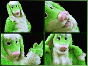 Rating: Safe Score: 0 Tags: black_background border close-up clothing costume e621 fur fursuit grandfathered_content green_body green_eyes green_fur irradiated_rabbit lagomorph leporid male mammal multiple_images pose rabbit real simple_background solo User: bunchy7s Rating: Safe Score: 0 Tags: black_background border close-up clothing costume e621 fur fursuit grandfathered_content green_body green_eyes green_fur irradiated_rabbit lagomorph leporid male mammal multiple_images pose rabbit real simple_background solo User: bunchy7s