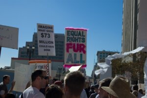 Rating: Safe Score: 0 Tags: blue_sky brown_hair clothing e621 english_text eyewear fur grandfathered_content group hair hat headgear headwear hi_res human humor male mammal outside pink_body pink_fur plant politics prop_8 protest pun real sky sunglasses text tree unknown_artist User: bunchy7s Rating: Safe Score: 0 Tags: blue_sky brown_hair clothing e621 english_text eyewear fur grandfathered_content group hair hat headgear headwear hi_res human humor male mammal outside pink_body pink_fur plant politics prop_8 protest pun real sky sunglasses text tree unknown_artist User: bunchy7s