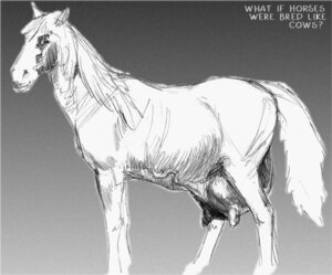 Rating: Questionable Score: 0 Tags: big_teats big_udders e621 english_text equid equine equine_teats equine_udders female feral gradient_background greyscale hooves horse huge_teats huge_udders hyper hyper_teats hyper_udders long_mane mammal mane mark_stretch monochrome simple_background solo tail teats text udders vein veiny_belly wide_hips User: bunchy7s Rating: Questionable Score: 0 Tags: big_teats big_udders e621 english_text equid equine equine_teats equine_udders female feral gradient_background greyscale hooves horse huge_teats huge_udders hyper hyper_teats hyper_udders long_mane mammal mane mark_stretch monochrome simple_background solo tail teats text udders vein veiny_belly wide_hips User: bunchy7s