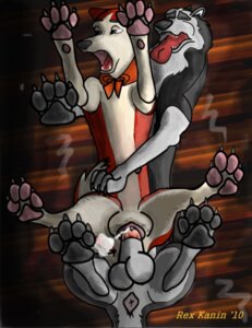 Rating: Explicit Score: 0 Tags: 2010 alaskan_malamute anatomically_correct anatomically_correct_anus anatomically_correct_genitalia anatomically_correct_vulva animal_genitalia animal_vulva anus balls balto_(series) canid canine canine_genitalia canine_vulva canis domestic_dog duo e621 erection female female_penetrated feral feral_on_feral genitals husky jenna_(balto) male male/female male_penetrating male_penetrating_female mammal nordic_sled_dog penetration penile penile_penetration penis penis_in_vagina rex_kanin sex spitz steele_(balto) universal_studios vaginal vaginal_penetration vulva User: bunchy7s Rating: Explicit Score: 0 Tags: 2010 alaskan_malamute anatomically_correct anatomically_correct_anus anatomically_correct_genitalia anatomically_correct_vulva animal_genitalia animal_vulva anus balls balto_(series) canid canine canine_genitalia canine_vulva canis domestic_dog duo e621 erection female female_penetrated feral feral_on_feral genitals husky jenna_(balto) male male/female male_penetrating male_penetrating_female mammal nordic_sled_dog penetration penile penile_penetration penis penis_in_vagina rex_kanin sex spitz steele_(balto) universal_studios vaginal vaginal_penetration vulva User: bunchy7s
