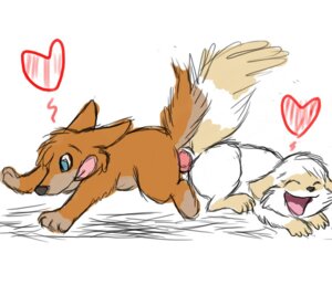 Rating: Explicit Score: 0 Tags: 2010 ass_to_ass dingyote duo e621 erection female female_penetrated feral feral_on_feral genitals heart_symbol knotting lying male male/female male_penetrating male_penetrating_female nude on_front penetration penile penile_penetration penis penis_in_vagina sachicoon_(char) sex size_difference tail vaginal vaginal_knotting vaginal_penetration vulva User: bunchy7s