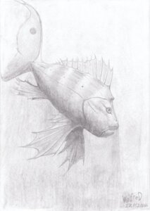 Rating: Safe Score: 0 Tags: 2008 absurd_res ambiguous_gender aquatic e621 feral fish graphite_(artwork) greyscale hi_res monochrome solo traditional_media_(artwork) wolfred User: bunchy7s