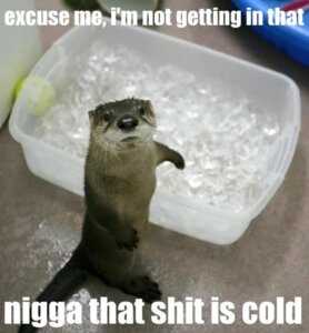 Rating: Safe Score: 0 Tags: ambiguous_gender black_nose brown_body brown_fur caption e621 english_text feral fur grandfathered_content humor ice ice_bath mammal meme mustelid otter racial_slur real solo tail text unknown_artist User: bunchy7s Rating: Safe Score: 0 Tags: ambiguous_gender black_nose brown_body brown_fur caption e621 english_text feral fur grandfathered_content humor ice ice_bath mammal meme mustelid otter racial_slur real solo tail text unknown_artist User: bunchy7s