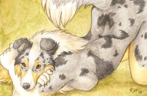 Rating: Safe Score: 0 Tags: 2008 anthro ass_up autumn_sunrise black_body black_fur border_collie breasts brown_background brown_eyes canid canine canis collie domestic_dog e621 female fur herding_dog looking_at_viewer mammal markings pastoral_dog sheepdog simple_background solo spots spotted_body spotted_fur tail tan_body tan_fur traditional_media_(artwork) white_body white_fur User: bunchy7s Rating: Safe Score: 0 Tags: 2008 anthro ass_up autumn_sunrise black_body black_fur border_collie breasts brown_background brown_eyes canid canine canis collie domestic_dog e621 female fur herding_dog looking_at_viewer mammal markings pastoral_dog sheepdog simple_background solo spots spotted_body spotted_fur tail tan_body tan_fur traditional_media_(artwork) white_body white_fur User: bunchy7s
