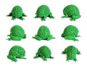 Rating: Safe Score: 0 Tags: ambiguous_gender amphibian brain brain_creature e621 emilio_garcia feral frog grandfathered_content green_body hi_res jumping_brain multiple_angles organ_creature organs simple_background solo what white_background User: bunchy7s