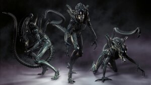 Rating: Safe Score: 0 Tags: 16:9 2013 2_mouths 3_fingers 3d_(artwork) 4_toes alien alien_(franchise) alien_humanoid all_fours ambiguous_gender bared_fangs bared_teeth bent_legs black_background black_body black_exoskeleton black_limbs black_shell bodily_fluids claws colored colored_nails digital_media_(artwork) drooling e621 elongated_head exoskeleton eyeless faceless featureless_crotch feet fingernails fingers floor fused_fingers glistening glistening_body glistening_chest glistening_head glistening_limbs gradient_background group head_crest hi_res humanoid long_fingernails long_fingers looking_at_viewer multi_mouth nails noseless nude nude_ambiguous nude_humanoid open_mouth posed purple_background raised_tail restricted_palette saliva saliva_string shell simple_background slim small_waist source_request spiked_tail spikes spikes_(anatomy) tail teeth thin_arms thin_calves thin_legs thin_thighs toe_claws toes trio unknown_artist wallpaper white_claws white_fingernails white_nails widescreen xenomorph User: bunchy7s