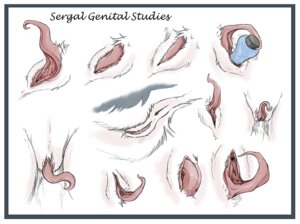 Rating: Explicit Score: 0 Tags: anatomical_study anthro anus bodily_fluids border butt clitoral_hood clitoris close-up crotch_shot dildo e621 female fur genital_close-up genital_fluids genital_shot genitals mammal masturbation model_sheet multiple_poses penetration plump_labia pose prehensile_clitoral_hood sergal sex_toy sex_toy_in_vagina sex_toy_insertion solo syrinoth tail_anus toying_self urethra vaginal vaginal_fluids vaginal_masturbation vaginal_penetration vulva vulva_close-up vulva_shot white_border User: bunchy7s