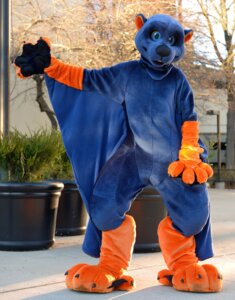 Rating: Safe Score: 0 Tags: abrahm_photography american_opossum anthro australian_possum biped blue_body blue_eyes blue_fur clothing costume dason digitigrade e621 feet fur fursuit grandfathered_content looking_at_viewer majik male mammal marsupial membrane_(anatomy) mustelid orange_body orange_fur otter patagium pawpads paws petaurid real skyliner solo standing sugar_glider toes webbed_feet webbed_hands User: bunchy7s