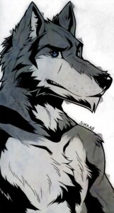 Rating: Safe Score: 0 Tags: aluminemsiren anthro blue_eyes canid canine canis chest_tuft clothed clothing e621 fluffy fur half-length_portrait looking_at_viewer male mammal portrait sikkab simple_background solo topless tuft white_background wolf User: bunchy7s