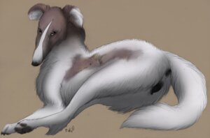 Rating: Explicit Score: 0 Tags: 2013 anatomically_correct anatomically_correct_genitalia anatomically_correct_vulva animal_genitalia animal_vulva anus black_vulva butt canid canine canine_genitalia canine_vulva canis collie domestic_dog e621 female feral fur genitals herding_dog in_heat lying mammal nude on_side paper-wings pastoral_dog presenting presenting_hindquarters sheepdog simple_background smooth_collie solo tail vulva white_body white_fur User: bunchy7s