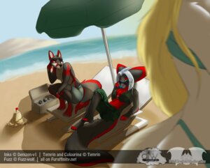 Rating: Safe Score: 0 Tags: 2012 anthro bikini black_body black_fur black_hair black_nose blonde_hair blue_eyes blue_nose bottomwear bra brown_eyes character_name clothed clothing digital_media_(artwork) e621 english_text female fur fuzz fuzz_(fuzz-wolf group hair inks_(denizen-v1) male pants red_body red_fur shorts skimpy swimwear temrin temrin_sanjem text tight_clothing two-piece_swimsuit umbrella underwear url white_hair wildelementstudios User: bunchy7s